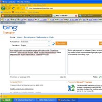 Screenshot of Bing Translator.